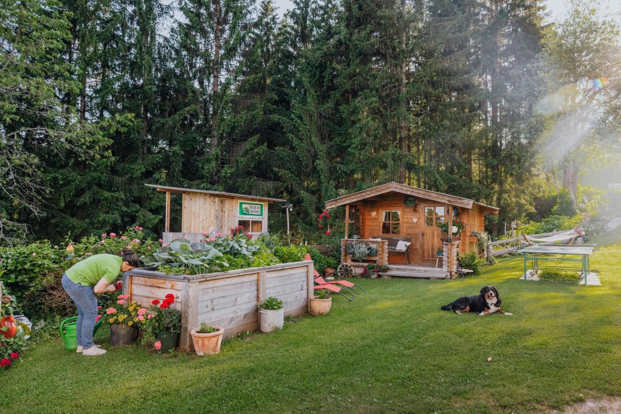 Bio-Bergbauernhof Weger Apartment เดลลัค ภายนอก รูปภาพ